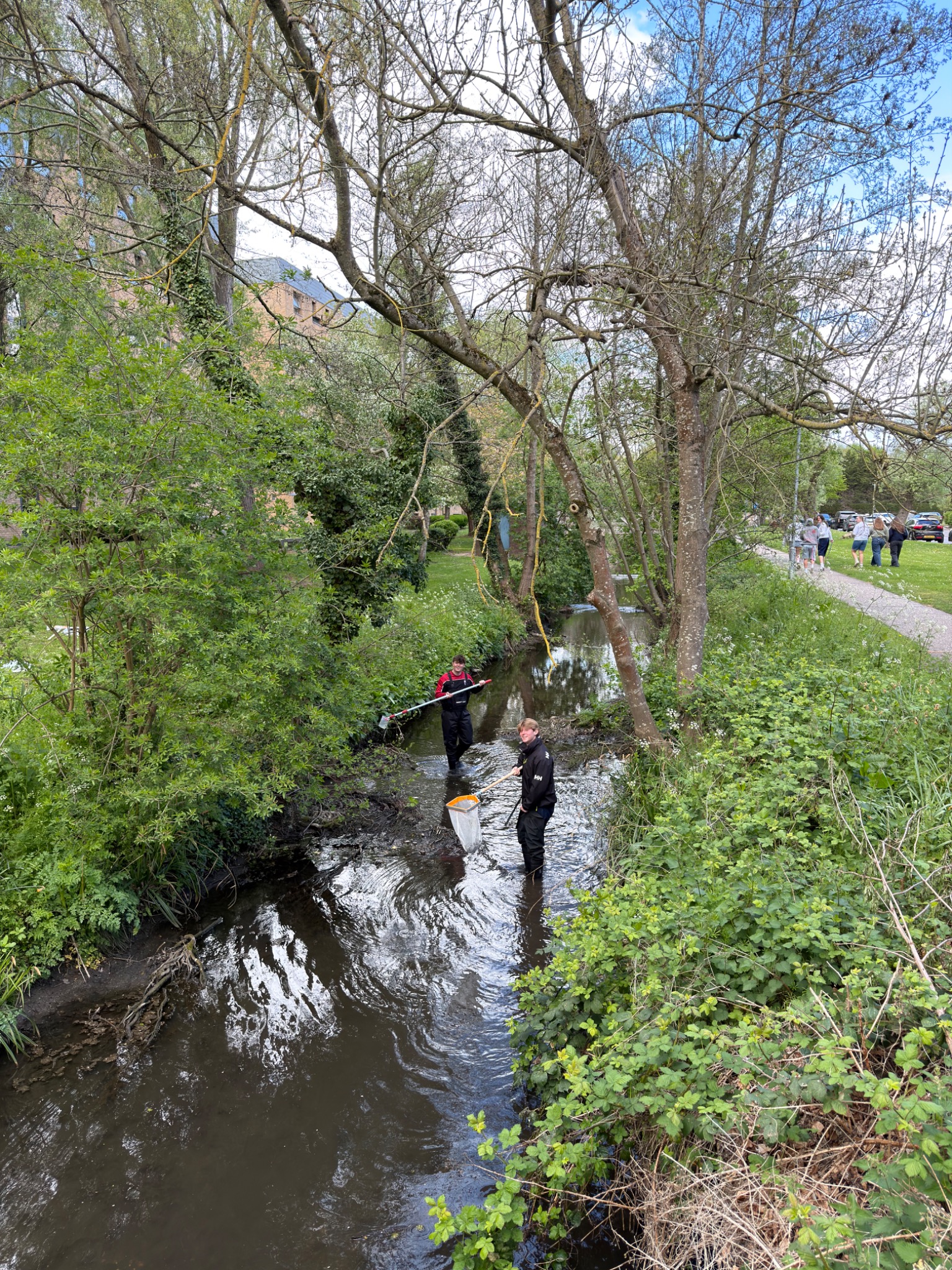 Canal and common-area clean-up
